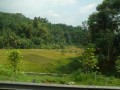 Tn P1030694